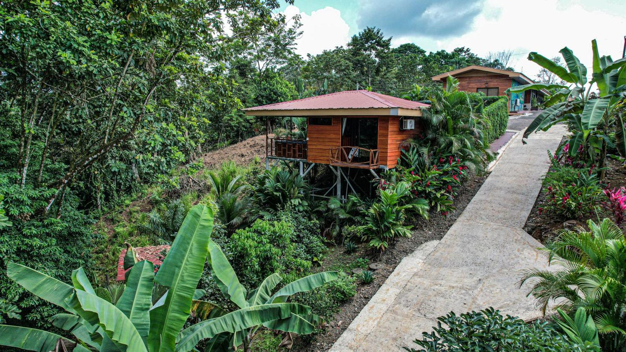 Bungalows Las Iguanas-La Fortuna de San Carlos Exterior foto